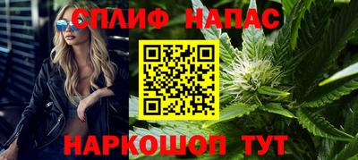 spice Гай