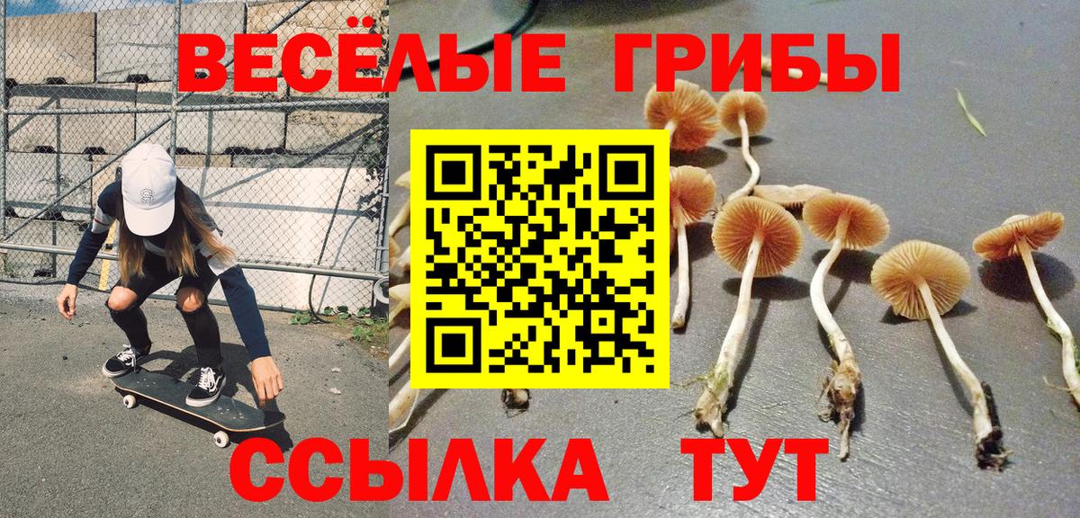 Псилоцибиновые грибы Psilocybine cubensis Камышлов