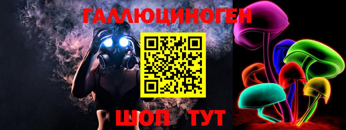 Галлюциногенные грибы MAGIC MUSHROOMS  Вход с VPN  Галлюциногенные грибы прущие грибы  Камышлов 